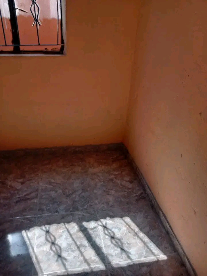 Room available at ivory park 3 ma10
swaz in   in Ivory Park