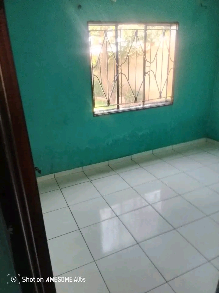 Need a house to rent don t worry.
house and   in Dobsonville