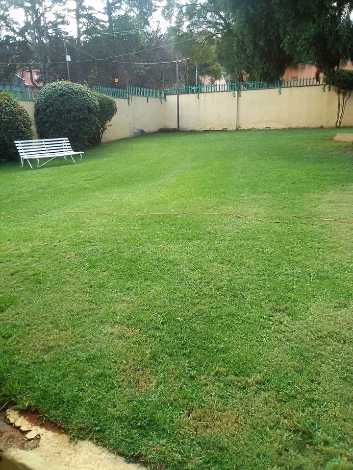 Large furnished room in upmarket commune  
r  in Jeppestown