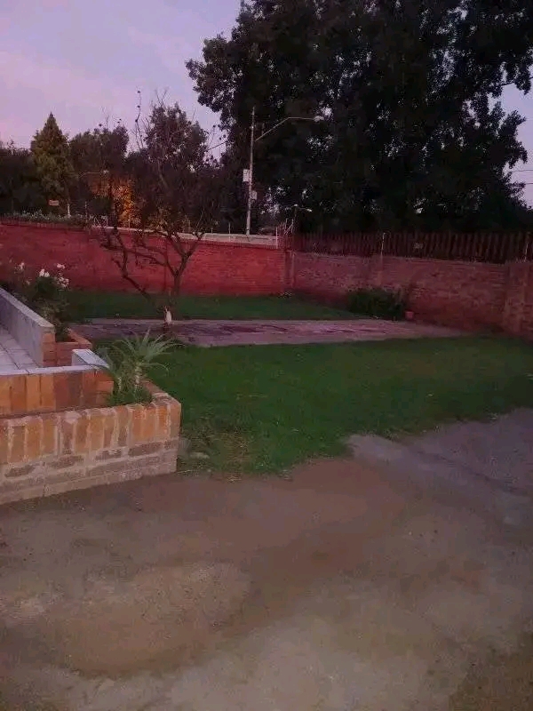 3 bedroom house with 2 bathroom house to let   in Kensington