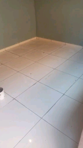  Gauteng