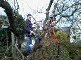 CAPE TREE SERVICES CAPE TREE SERVICES
ARE YOU... 10